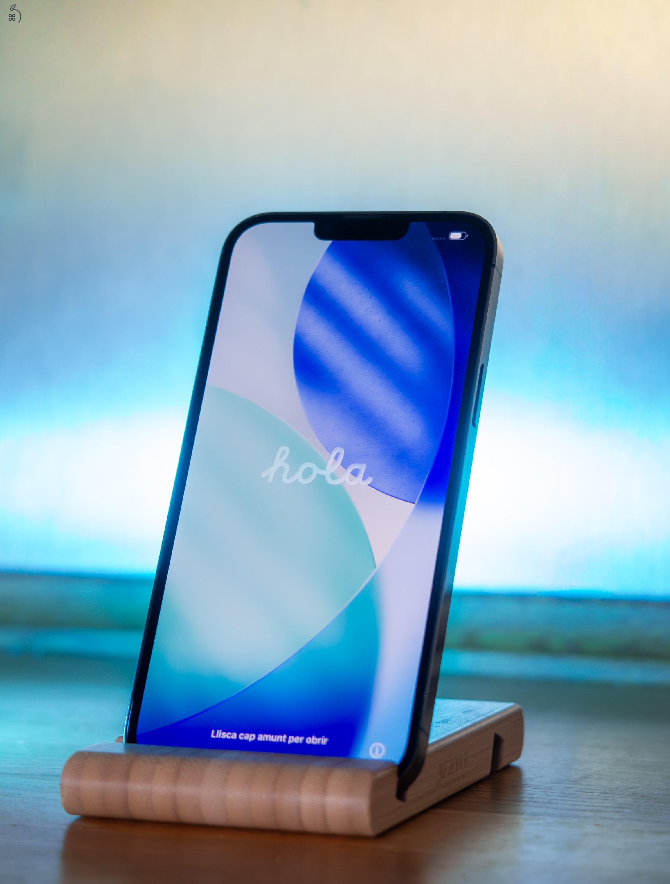 iPhone 13 Pro Max 256GB