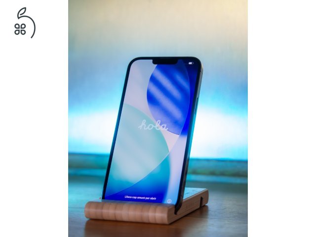 iPhone 13 Pro Max 256GB