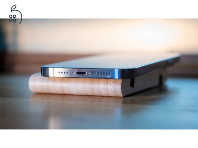 iPhone 13 Pro Max 256GB