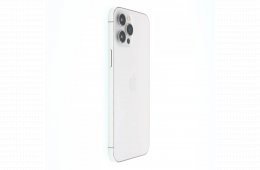 Apple iPhone 12 Pro Max 256 GB Silver 100%