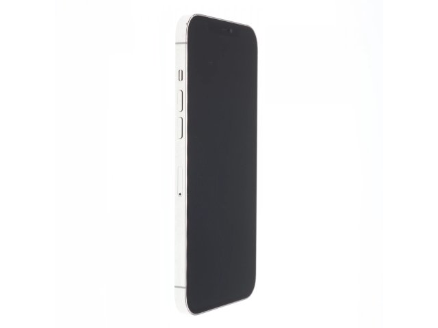 Apple iPhone 12 Pro Max 256 GB Silver 100%