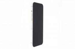 Apple iPhone 12 Pro Max 256 GB Silver 100%