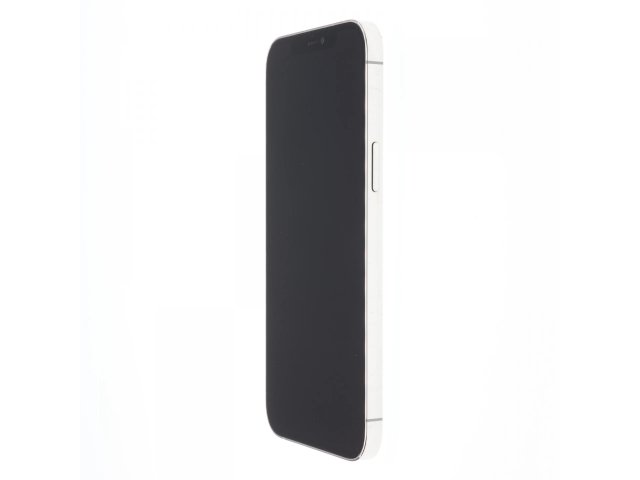 Apple iPhone 12 Pro Max 256 GB Silver 100%
