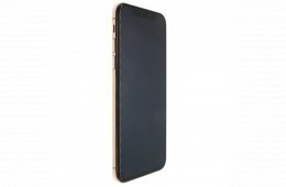 Apple iPhone XS 256 GB Gold 100%