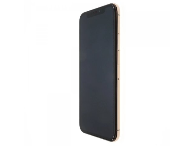 Apple iPhone XS 256 GB Gold 100%