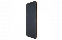 Apple iPhone XS 256 GB Gold 100%