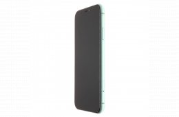 Apple iPhone 11 64 GB Green 100%
