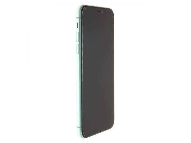 Apple iPhone 11 64 GB Green 100%