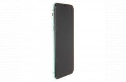 Apple iPhone 11 64 GB Green 100%