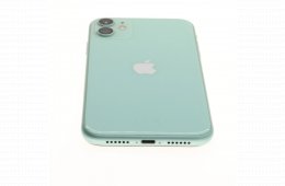 Apple iPhone 11 64 GB Green 100%