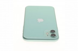 Apple iPhone 11 64 GB Green 100%
