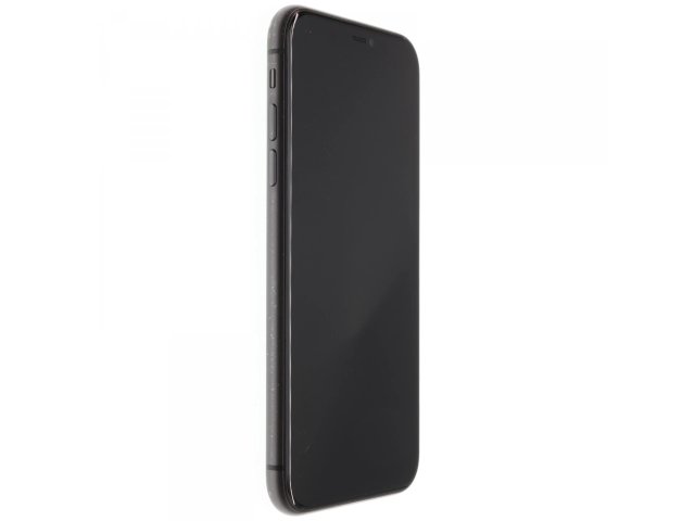 Apple iPhone 11 64 GB Black 100%
