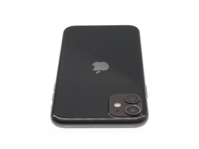 Apple iPhone 11 64 GB Black 100%