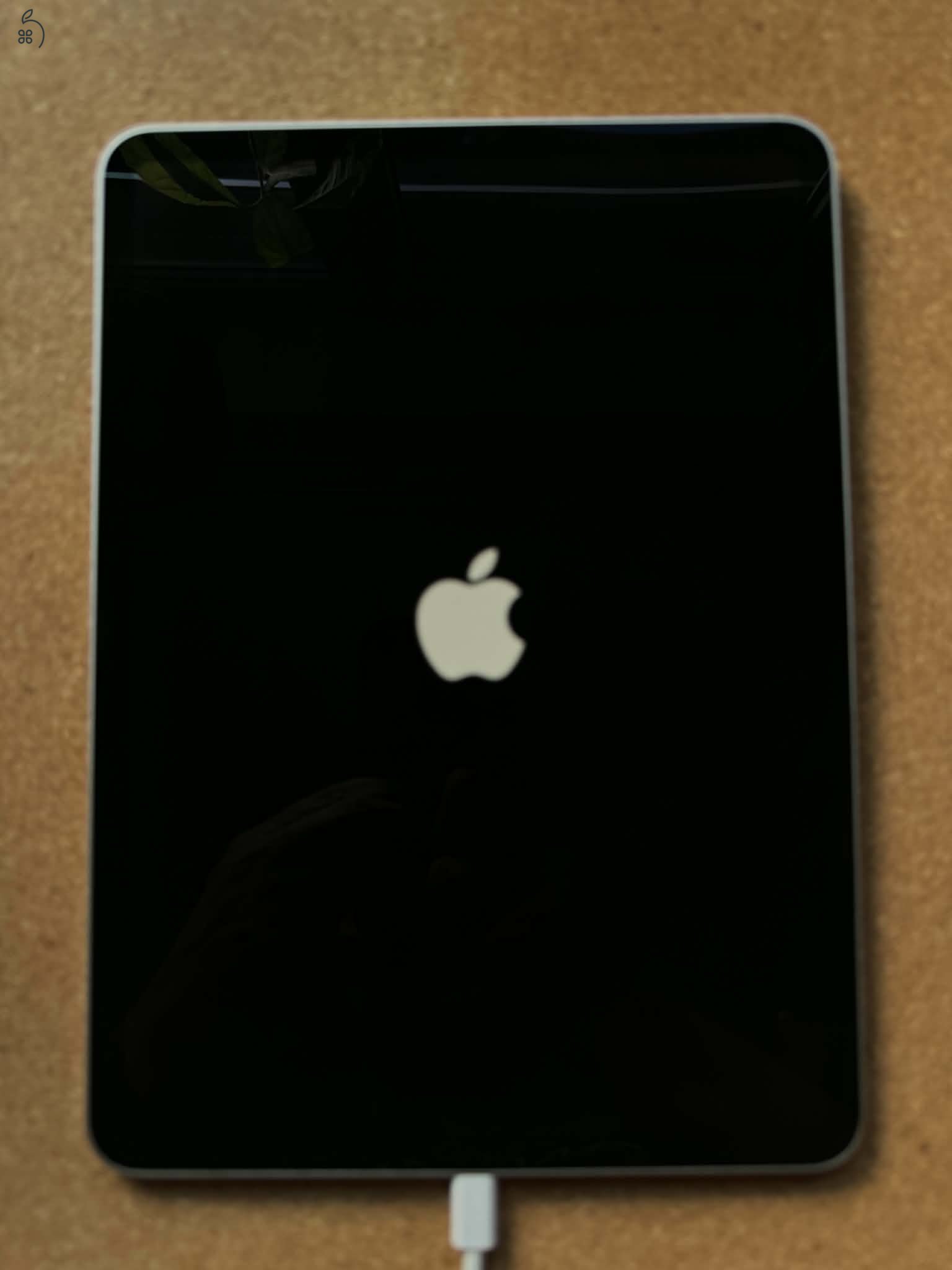 iPad Pro 11