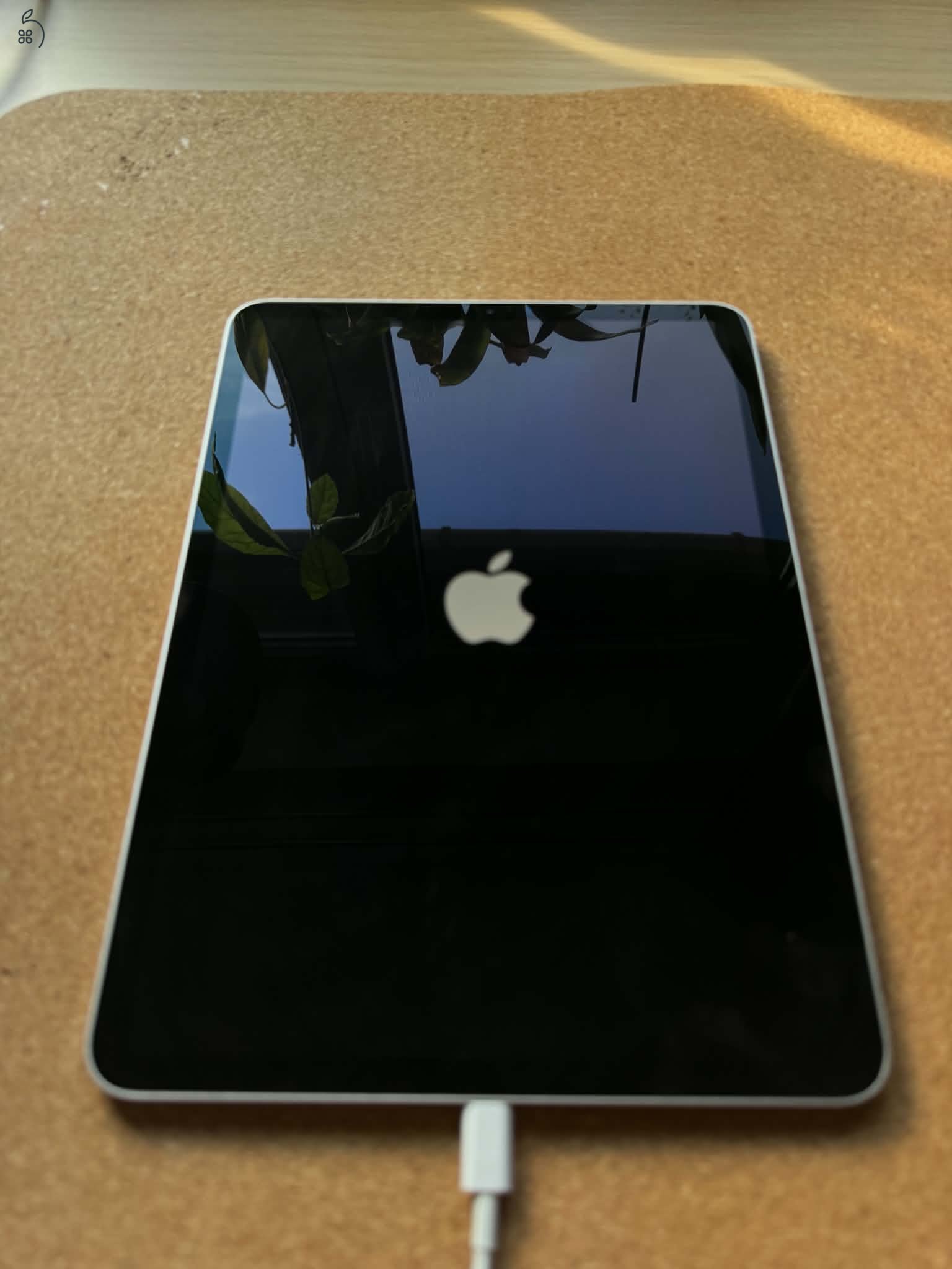 iPad Pro 11