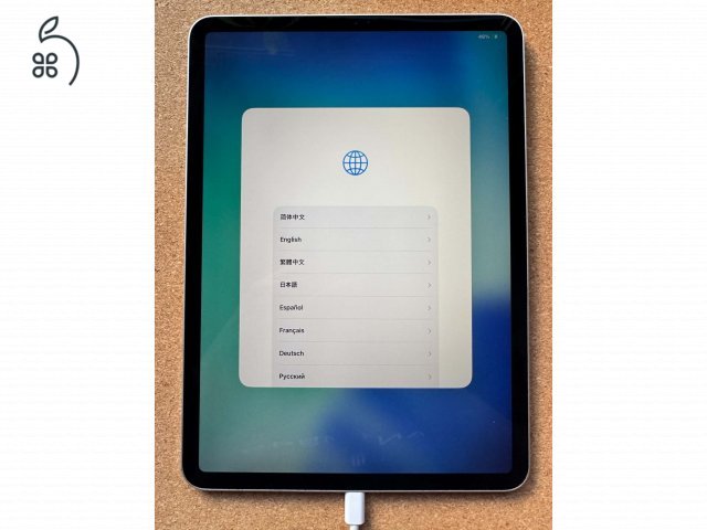 iPad Pro 11