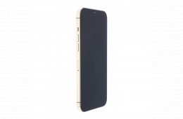 Apple iPhone 12 Pro Max 128 GB Gold 100%