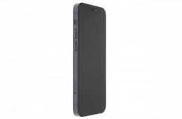 Apple iPhone 12 Mini 256 GB Black 100%