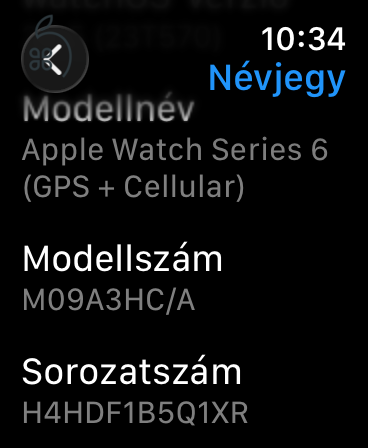 Apple Watch Series 6 44 mm (GPS + Cellular)