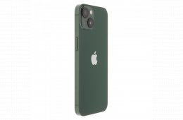 Apple iPhone 13 128 GB Green 100%