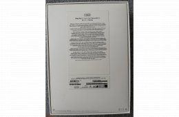 Ipad pro M1 Wifi + Cellular ( 11’ 3rd )