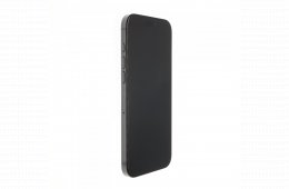 Apple iPhone 16 Pro Max 256 GB Black Titanium 100%