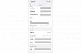 iPhone 16 256Gb