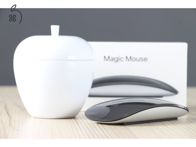 Magic Mouse 2 black A US-8170