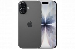 Apple iPhone 17 256 GB Black 100%