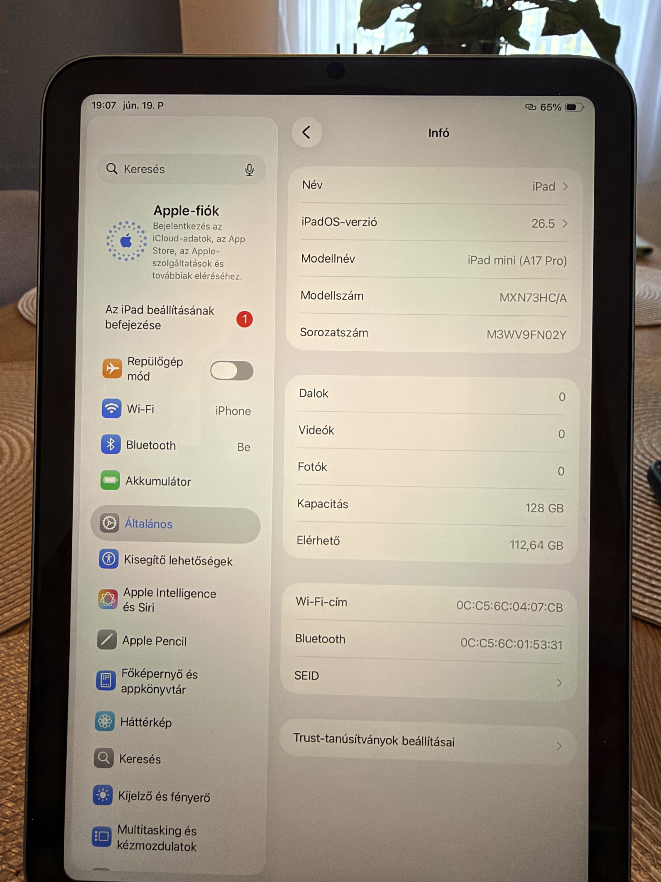 iPad mini 2025