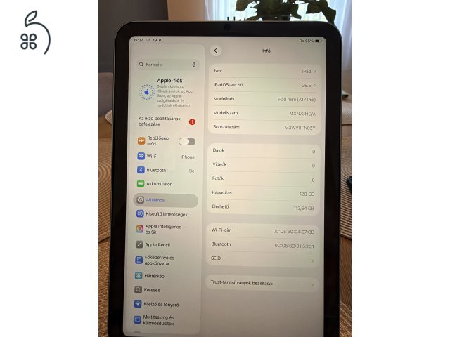 iPad mini 2025