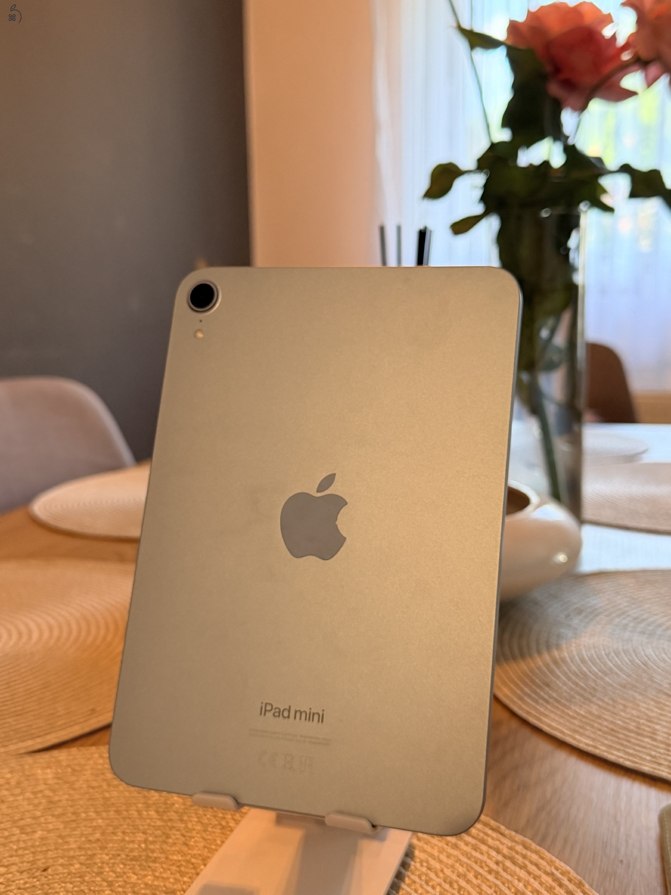 iPad mini 2025