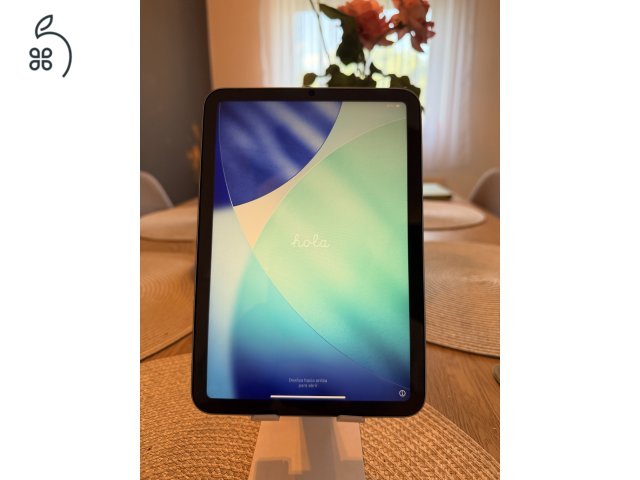iPad mini 2025