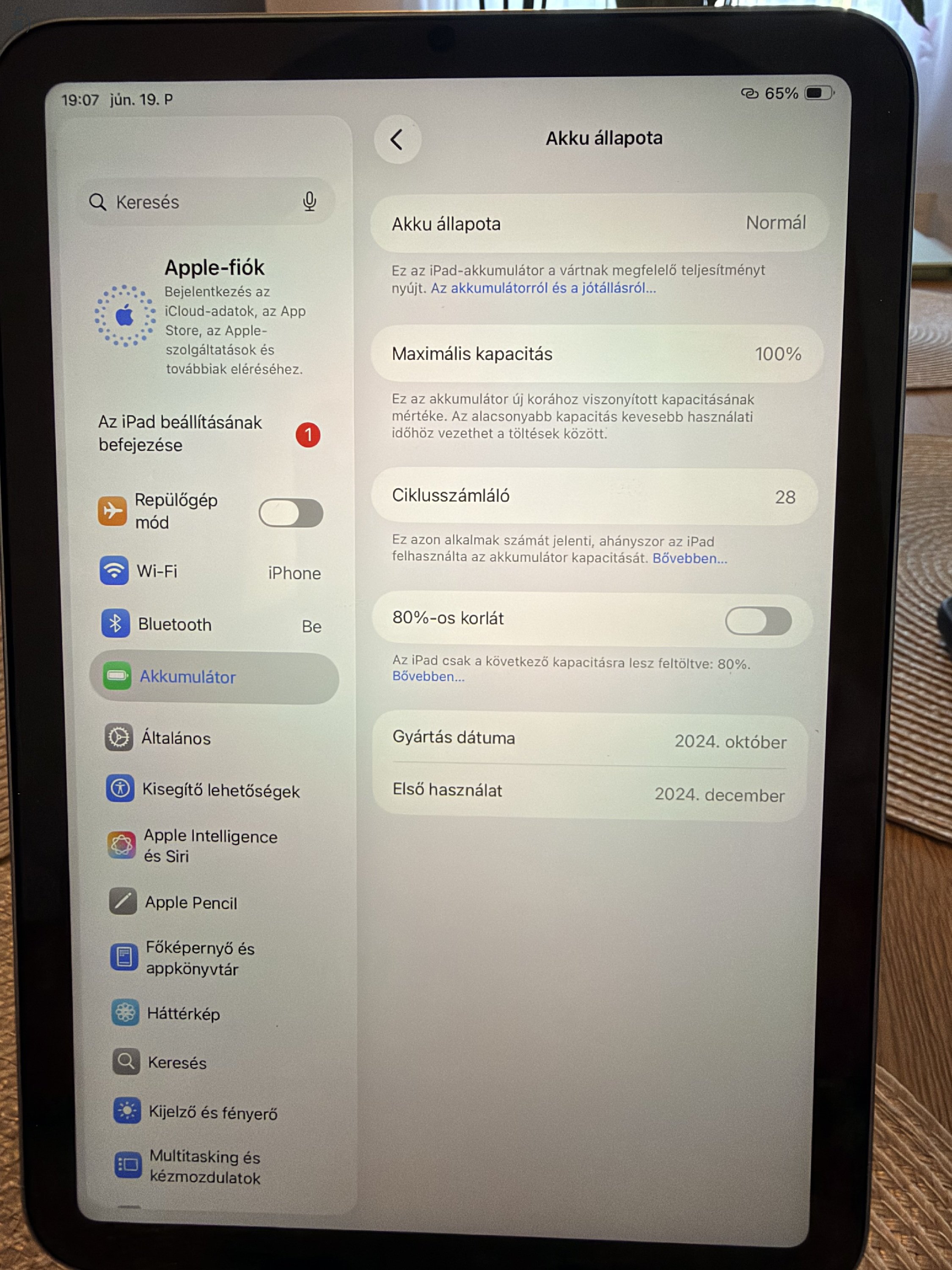 iPad mini 2025