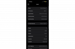 iPhone 16 Pro Max 256GB - One fuggo - garancialis
