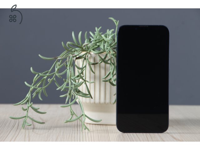 Apple iPhone 13 256GB midnight B US-8154