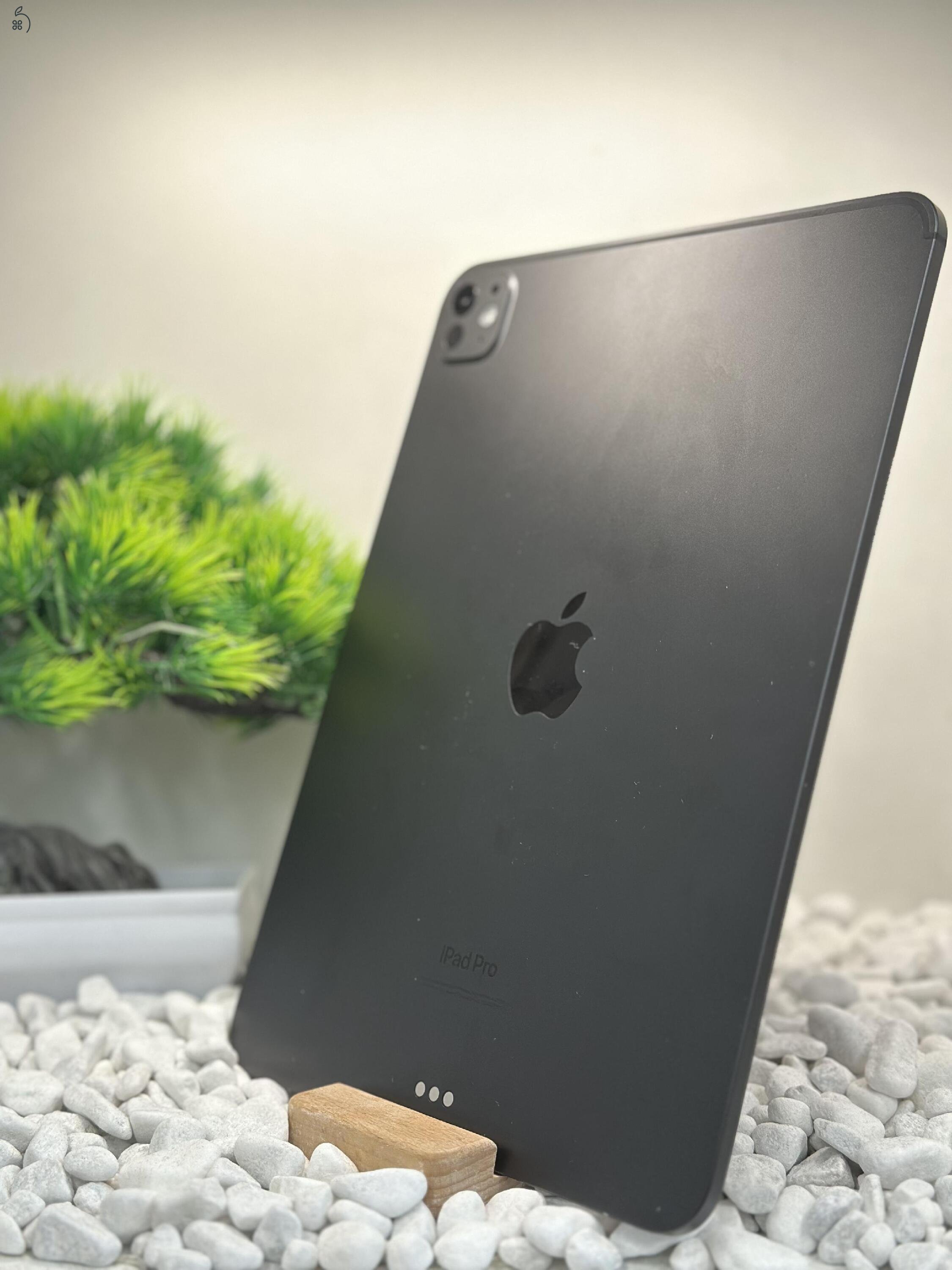 iPad Pro 11