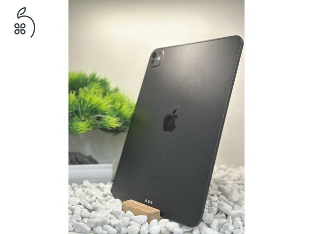 iPad Pro 11