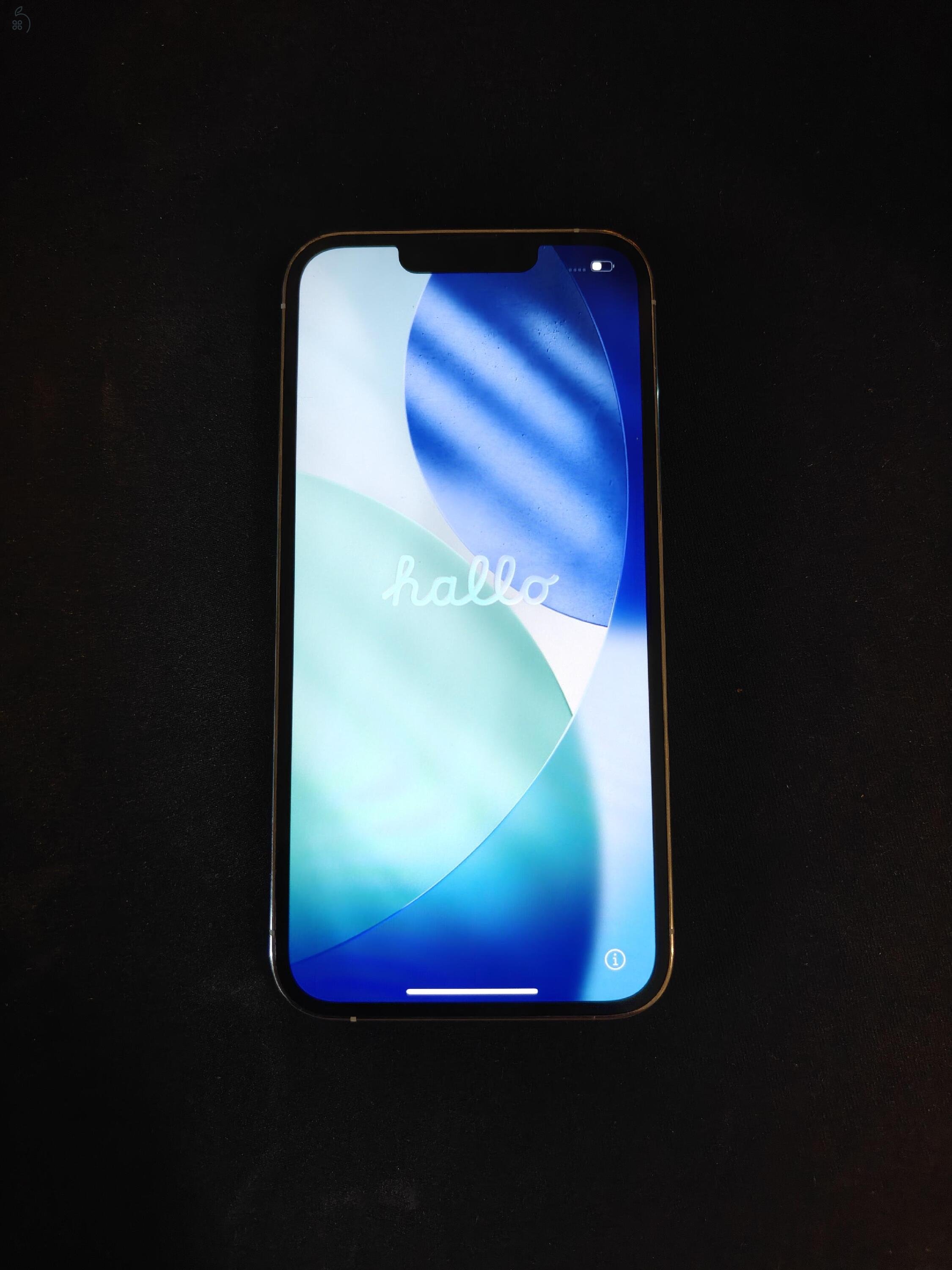 iPhone 13 Pro 256GB | Akku: 74% 