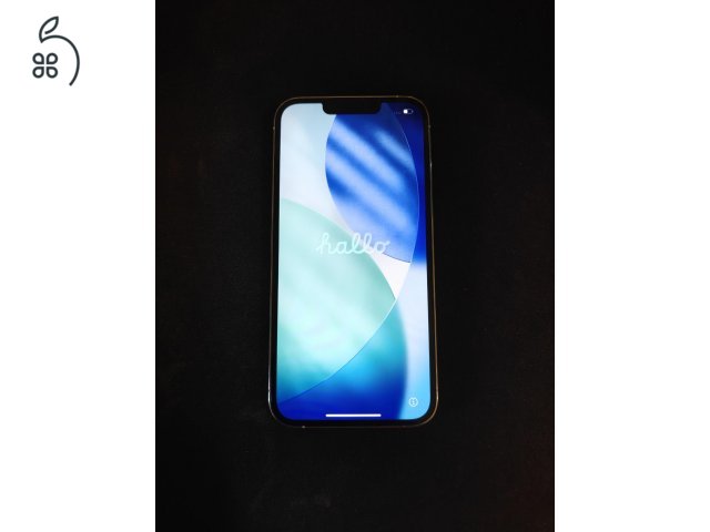 iPhone 13 Pro 256GB | Akku: 74% 
