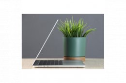 Használt Apple MacBook Air 15