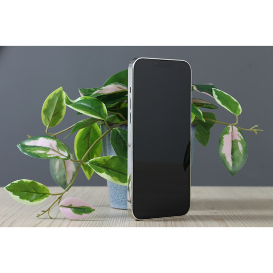 Használt Apple iPhone 13 Pro Max 128GB Silver C+ US-7105
