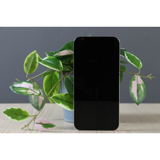 Használt Apple iPhone 13 Pro Max 128GB Silver C+ US-7105