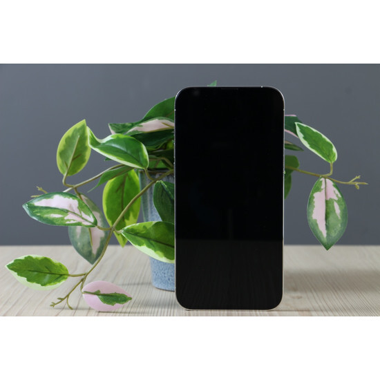 Használt Apple iPhone 13 Pro Max 128GB Silver C+ US-7105