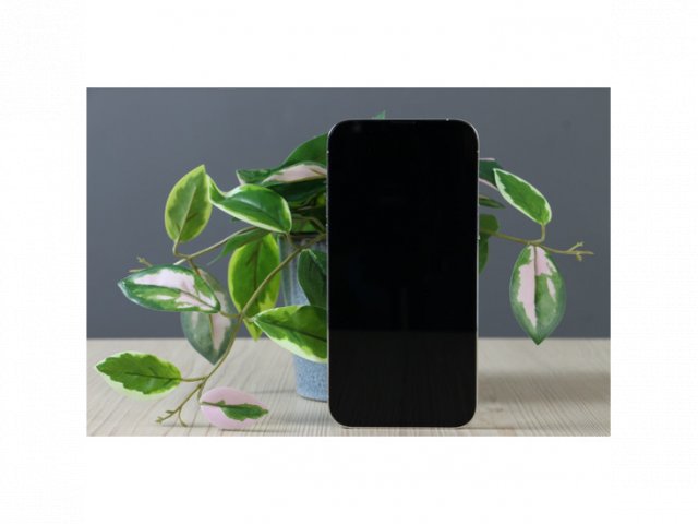 Használt Apple iPhone 13 Pro Max 128GB Silver C+ US-7105
