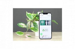 Használt Apple iPhone 13 Pro 128GB zöld A US-8199