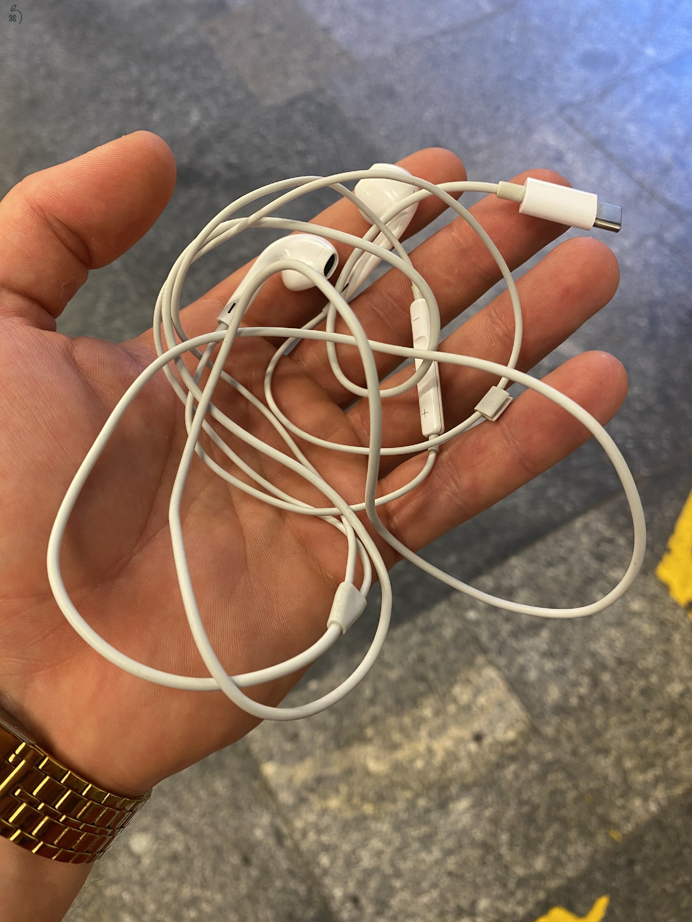 Apple EarPods (USB-C)