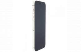Apple iPhone 14 Pro Max 256 GB Gold 100%