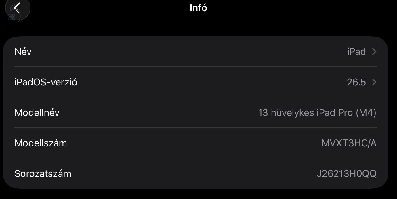 iPad Pro 13 M4 Chip 256GB Wifi+ cellular