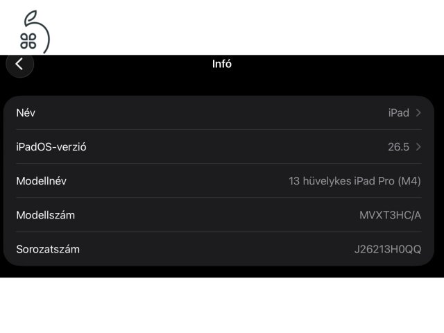 iPad Pro 13 M4 Chip 256GB Wifi+ cellular